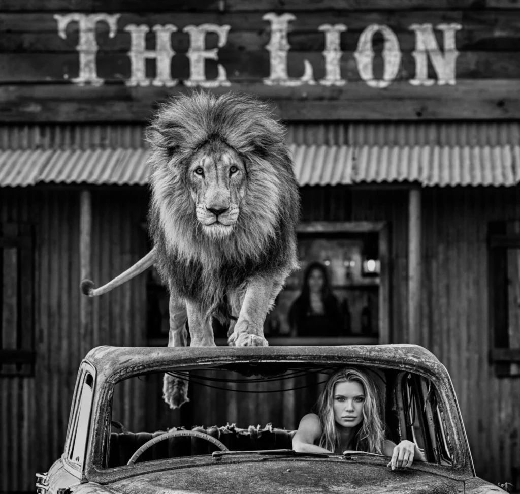 David Yarrow • Cat on a Hot Tin Roof, Dinokeng, South Africa • 2026