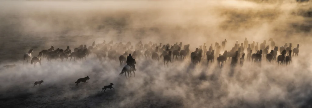 David Yarrow • One Hundred Horses, Kayseri, Turkey (Colour) • 2026