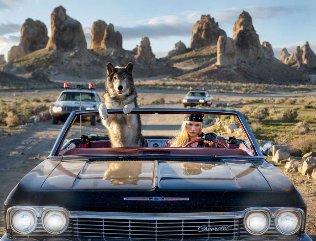 David Yarrow • Vice, Trona, California (colour) • 2026