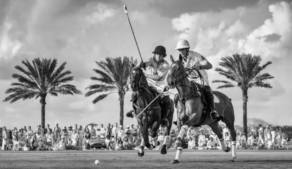 Wellington (b&w), Wellington, Florida • 2025