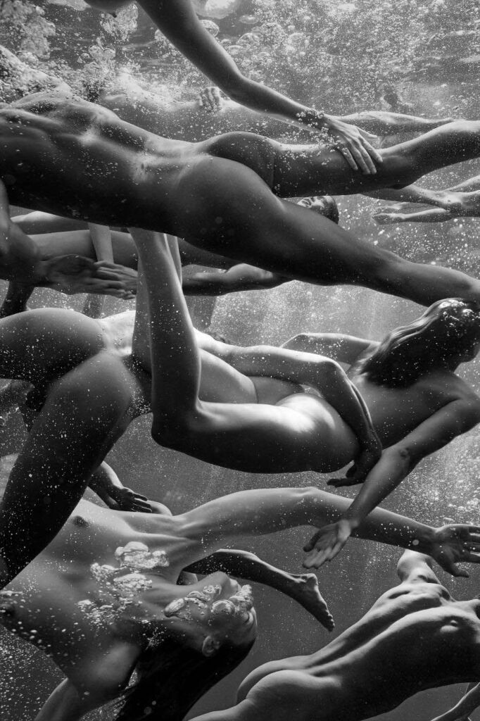 Hugh Arnold • Thread, Agua Vida • 2016