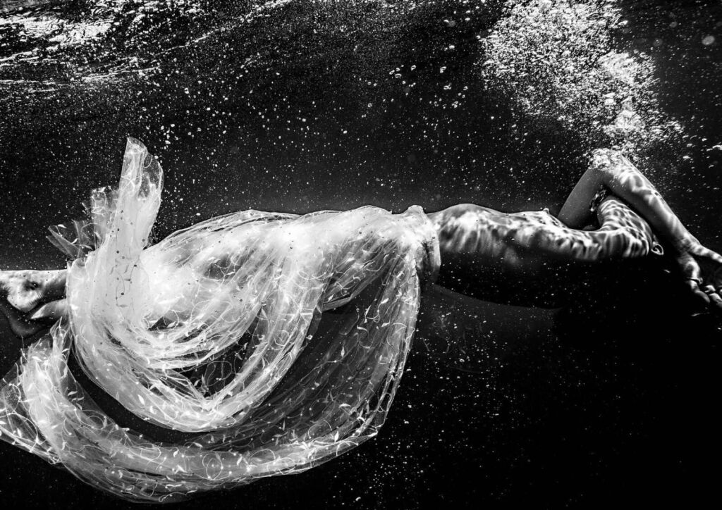 Hugh Arnold • Voltea, Agua Nacida • 2013