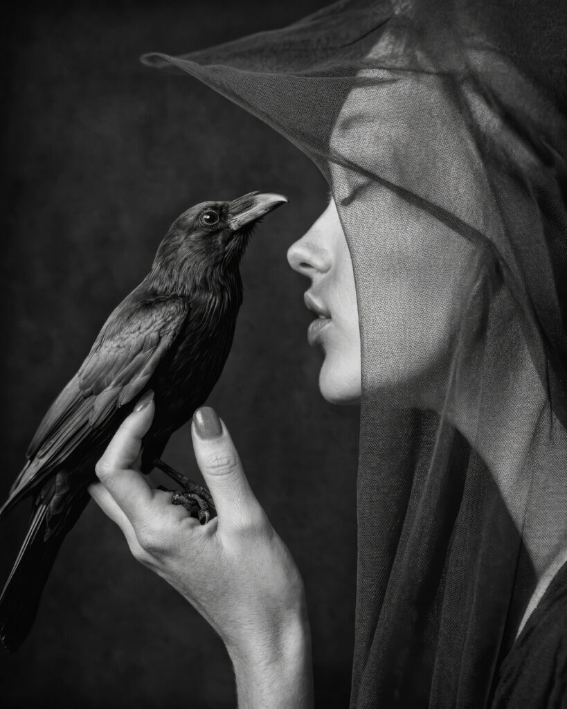 Rankin • The Crow • 2026