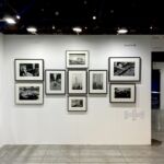 The Phair, Turin • Erwitt • 2024