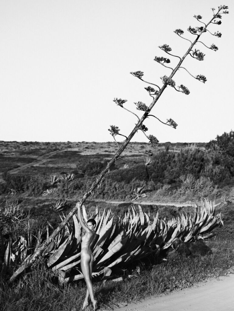 Lukas Dvorak • Aida in Algarve 2 • 2012